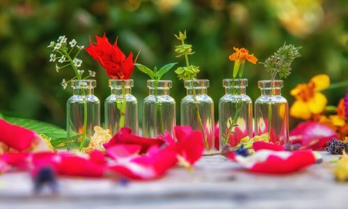 nature-2024-12-19-16-42-53-web